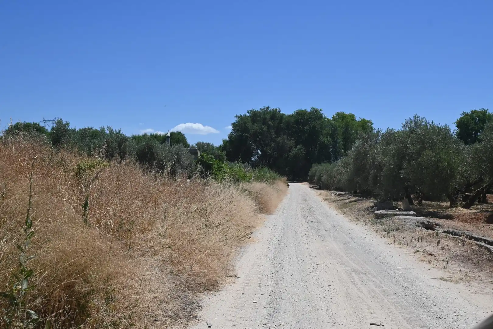 Terreni e lotti in vendita a Albolote, imagen 38