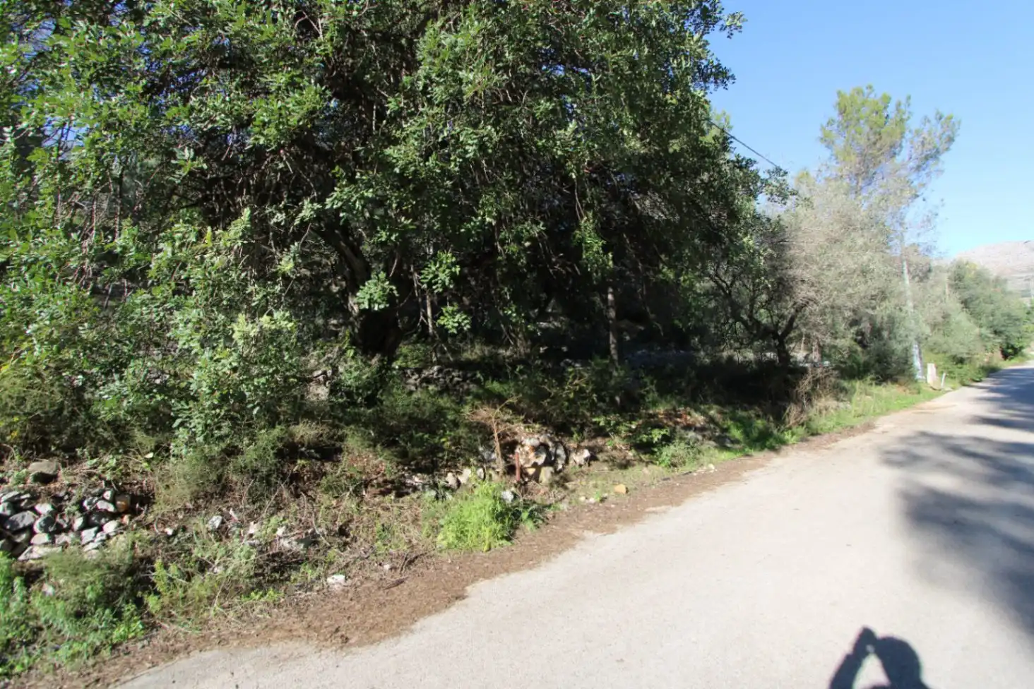 Residential land for sale in Orba, imagen 4