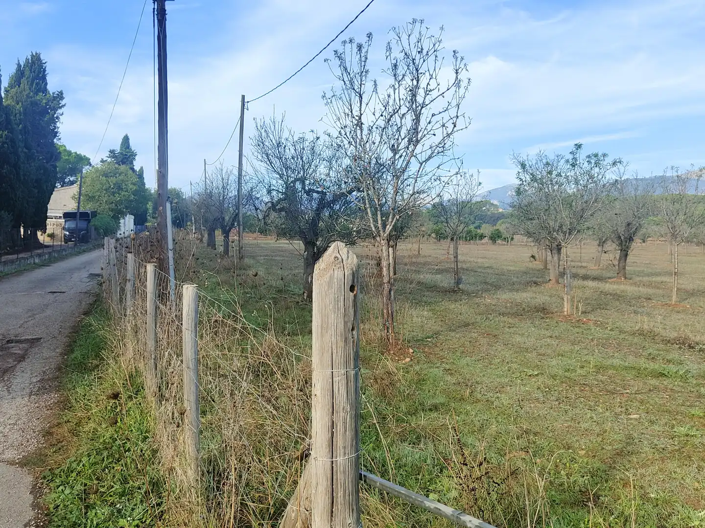 Terrain rustique à vendre à Camí Moscari 26, imagen 26
