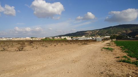 Finca Viñedos en Producción en Pinoso, Alicante, imatge 2