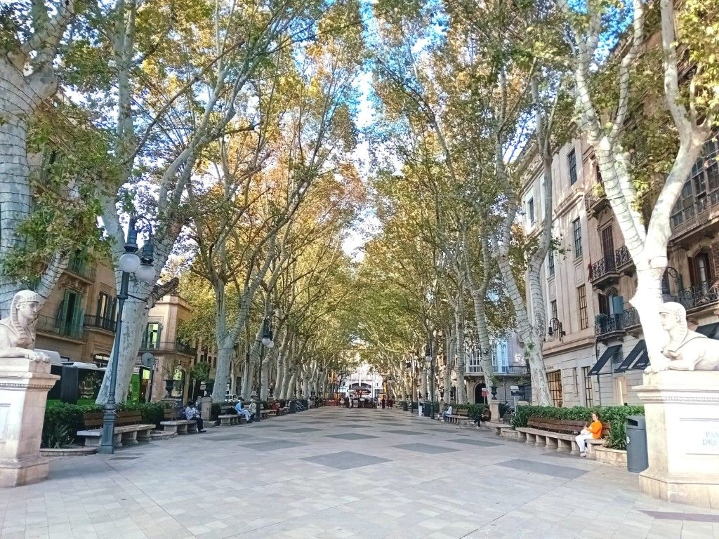 Vista exterior de Casa o xalet en venda en  Palma de Mallorca amb Aire condicionat, Terrassa i Forn