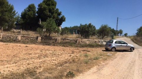 TERRENO CERCANO A LA POBLACIÓN, immagine 5