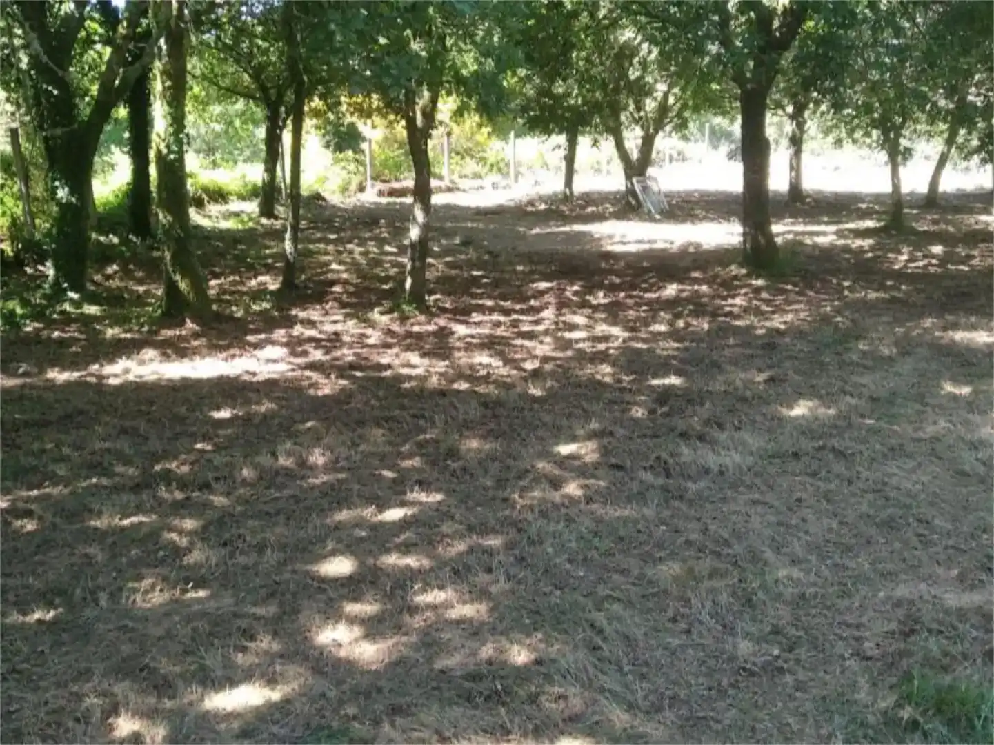 Pis en venda en Cerdedo
