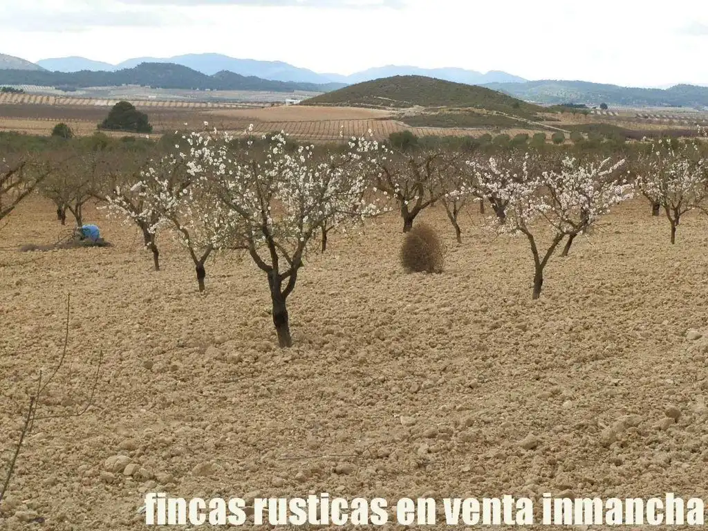 Rustikales Grundstück zum Verkauf in Cieza, imagen 5
