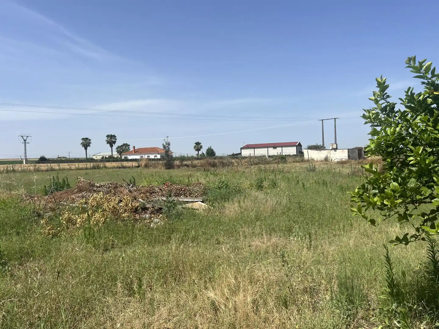 Casa o chalet en venta en Santa Amalia con Terraza y Piscina