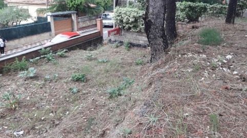 TERRENO EN CAN RIAL, imatge 3