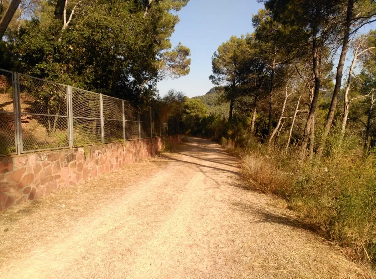 Terreni e lotti in vendita a Corbera de Llobregat, imagen 42