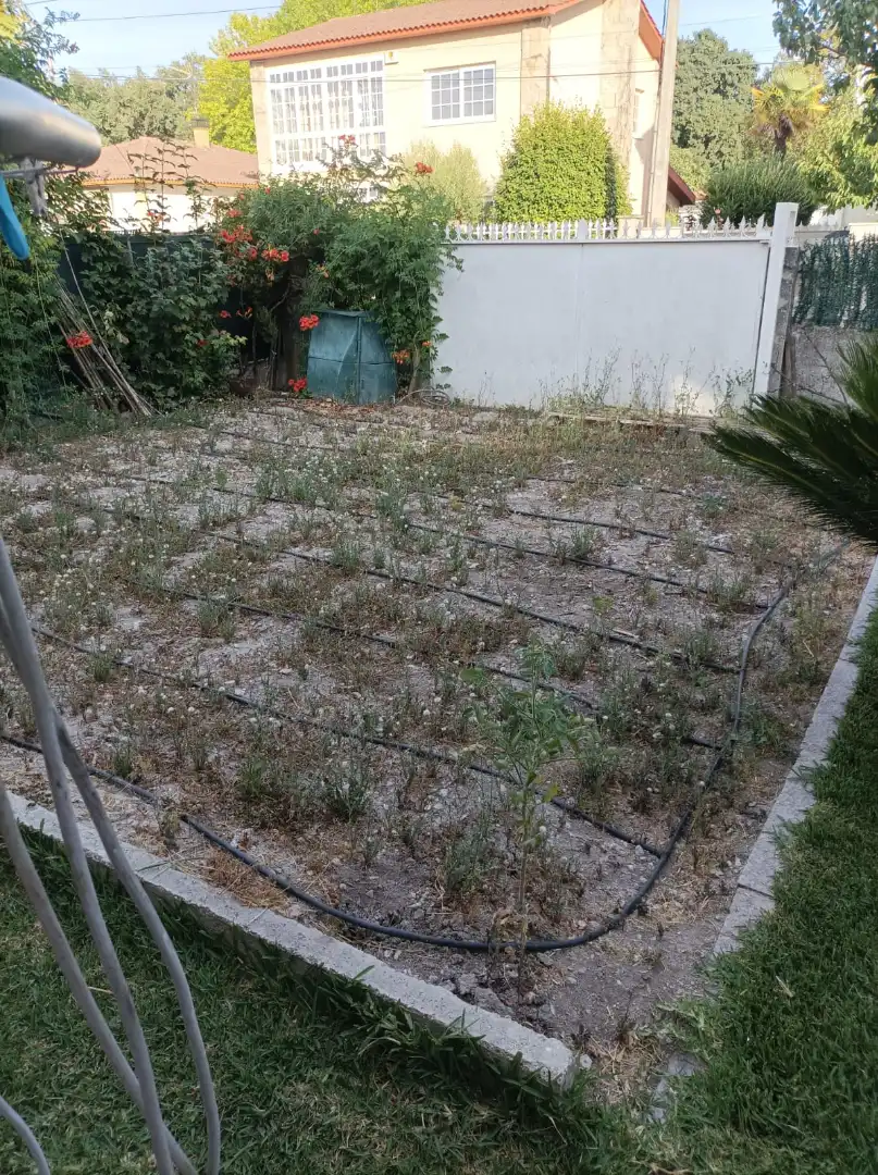 Jardín de Casa o chalet en venta en San Cibrao das Viñas con Jardín privado, Terraza y Amueblado