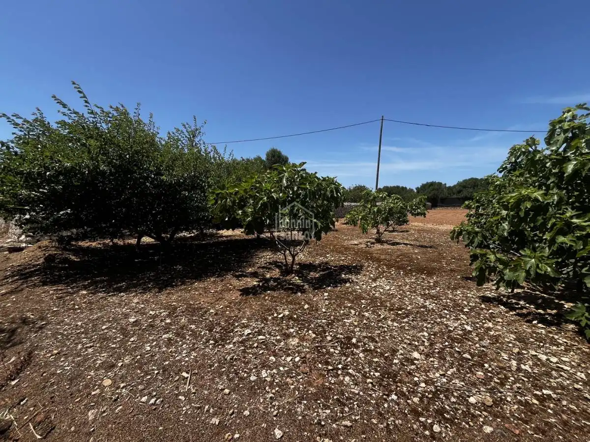 Finca rústica en venda en Maó - Mahón