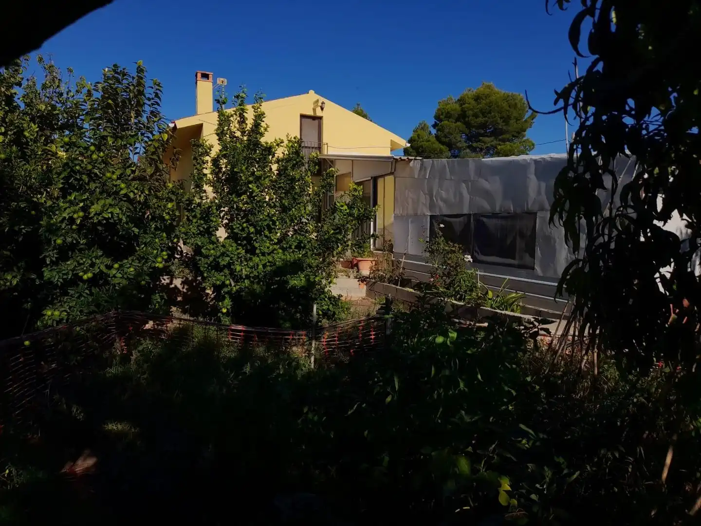 Jardí de Casa o xalet en venda en Flix amb Jardí privat, Terrassa i Traster
