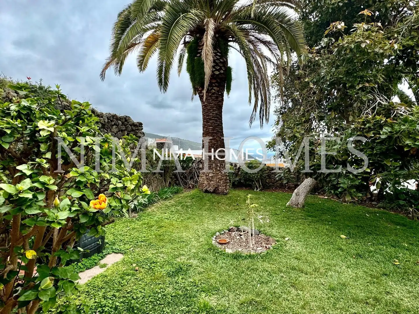 Maison à vendre à Icod de los Vinos pueblo, imagen 3
