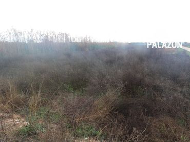 Terreno rustico in vendita a Crevillent