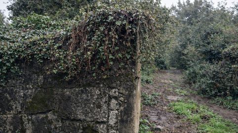 Finca con alma rural y piedra con historia, immagine 3