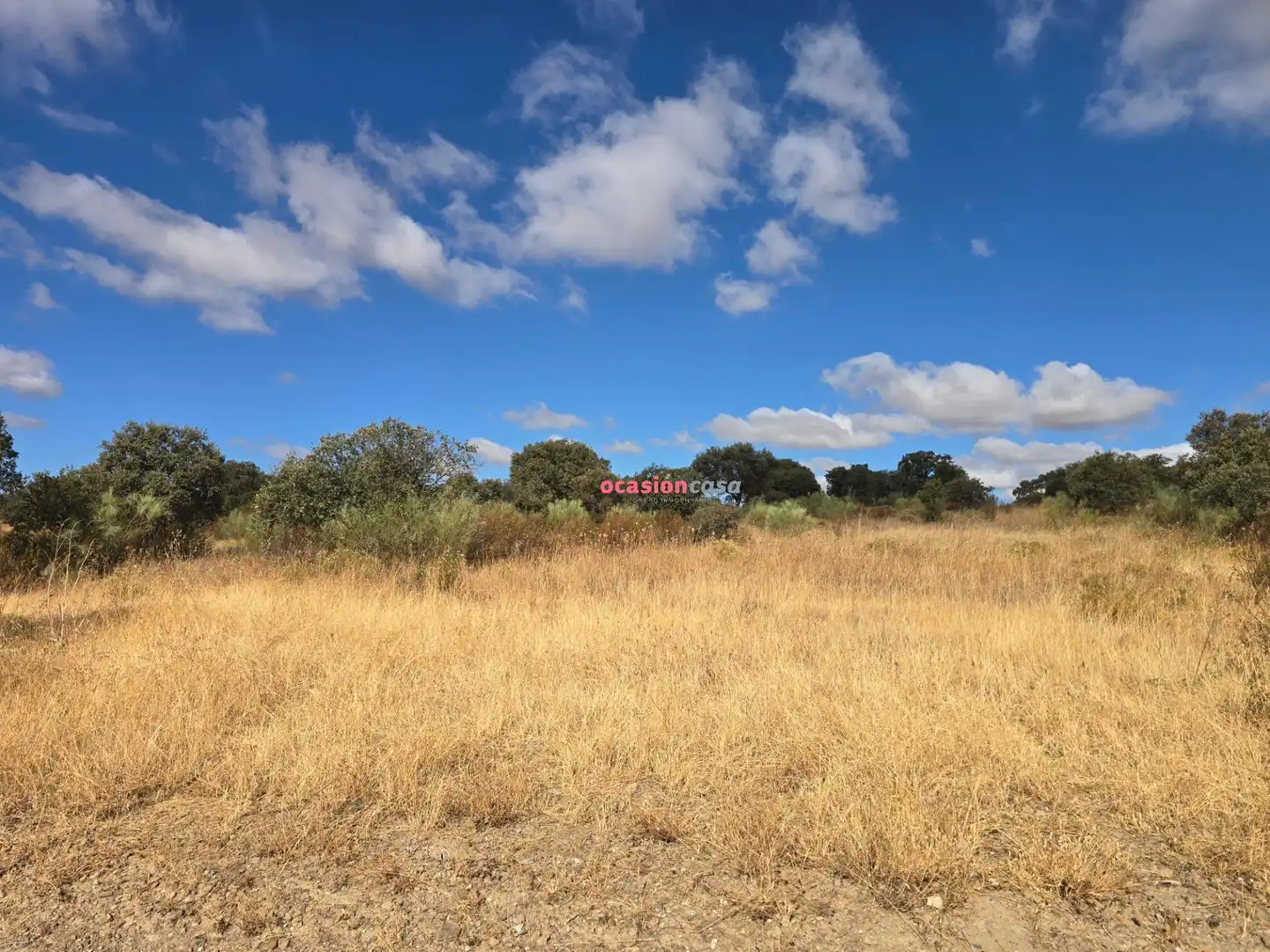 Casa o xalet en venda en Alcaracejos amb Traster i Piscina