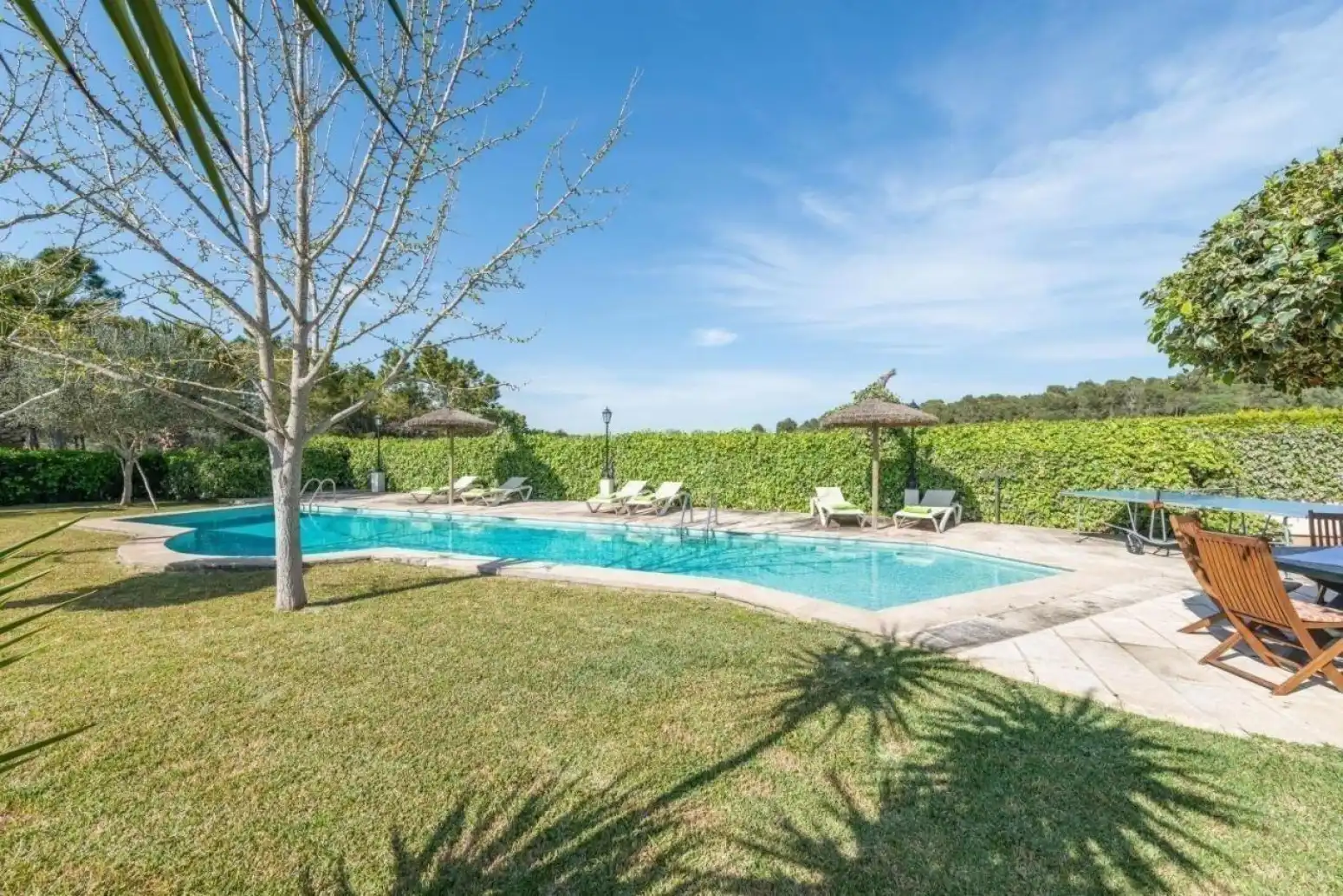 House with terrace to rent in Ariany - Camino Joan, imagen 38