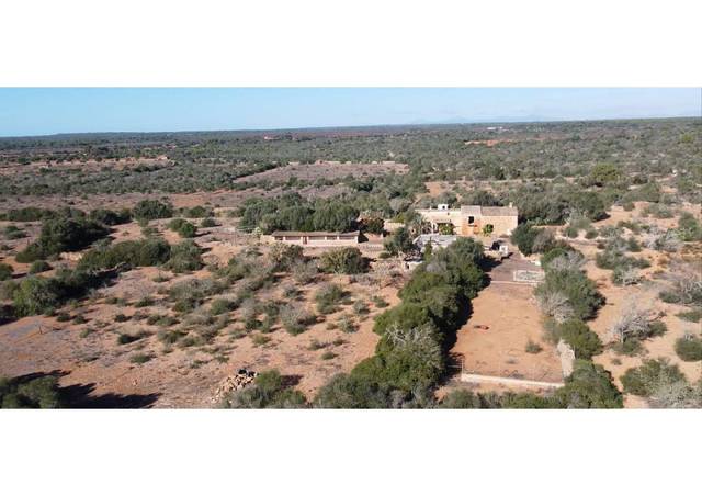 Finca rústica en Venta en Llucmajor pueblo