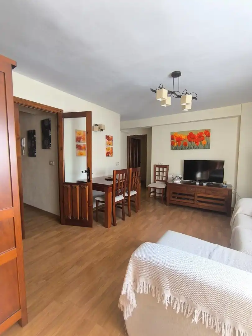 Sala d'estar de Pis en venda en Málaga amb Aire condicionat, Calefacció i Moblat