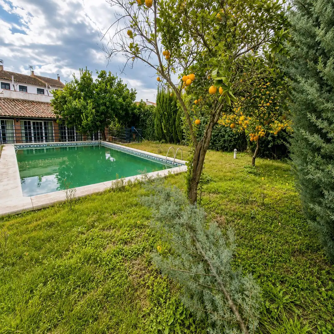 House with pool for sale in Calle de la Cruz Dorada