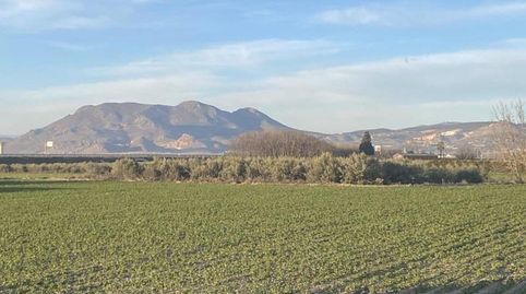 Foto 3 de Finca rústica en venta en Belicena, Vegas del Genil