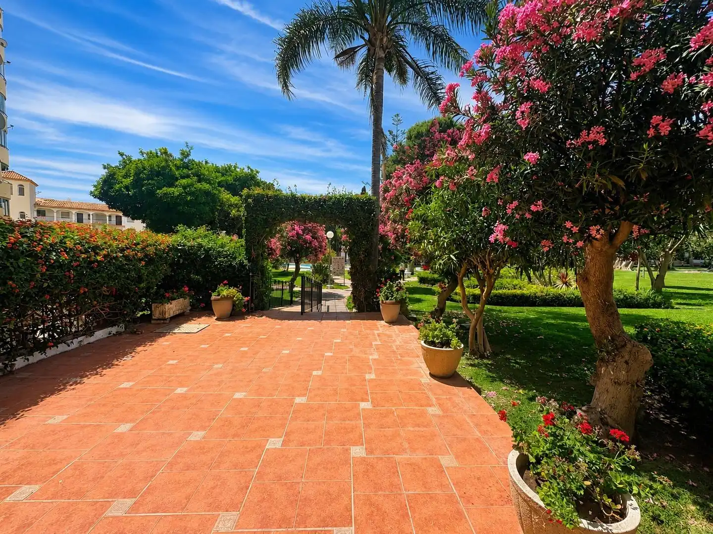 Apartamento con terraza en alquiler en La Carihuela - Los Nidos, imagen 18