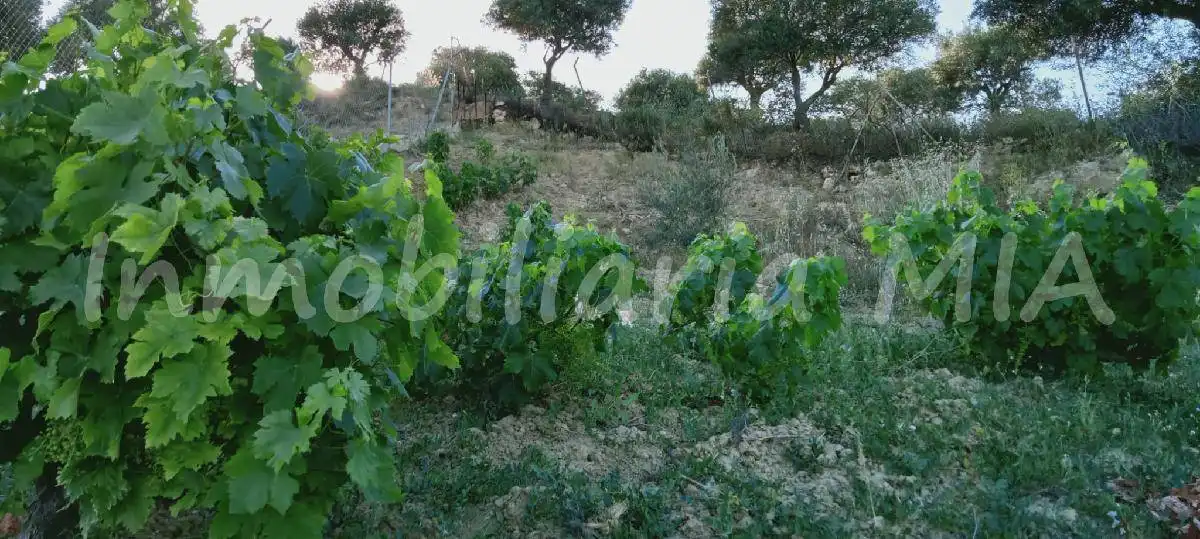 Casa o chalet en venta en Alhaurín de la Torre