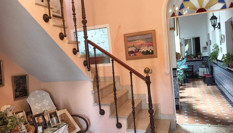 Photo 1 of House or chalet for sale in Rociana del Condado, Huelva