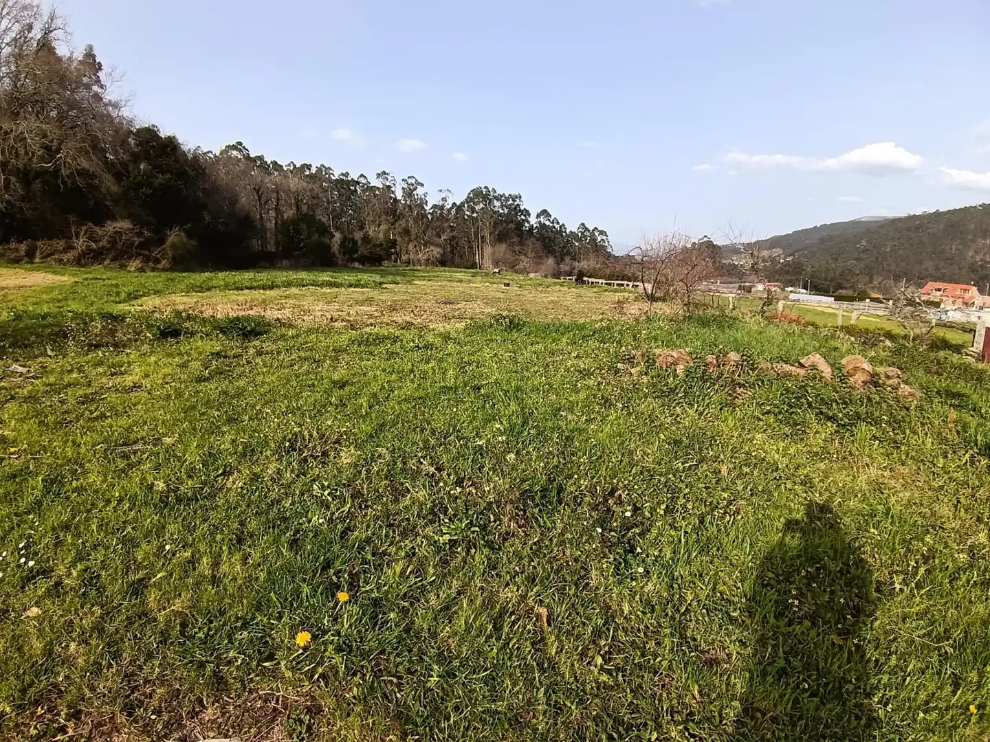 Country homes for sale in Meis