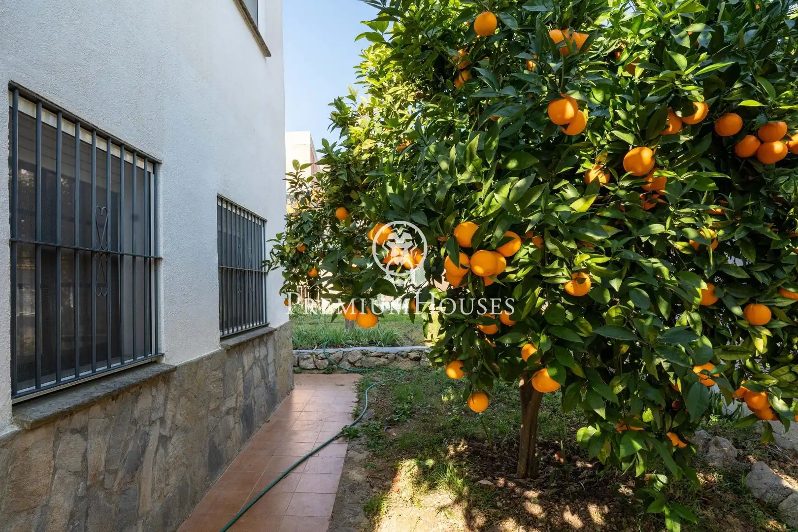 House with pool for sale in Mas Alba, imagen 25