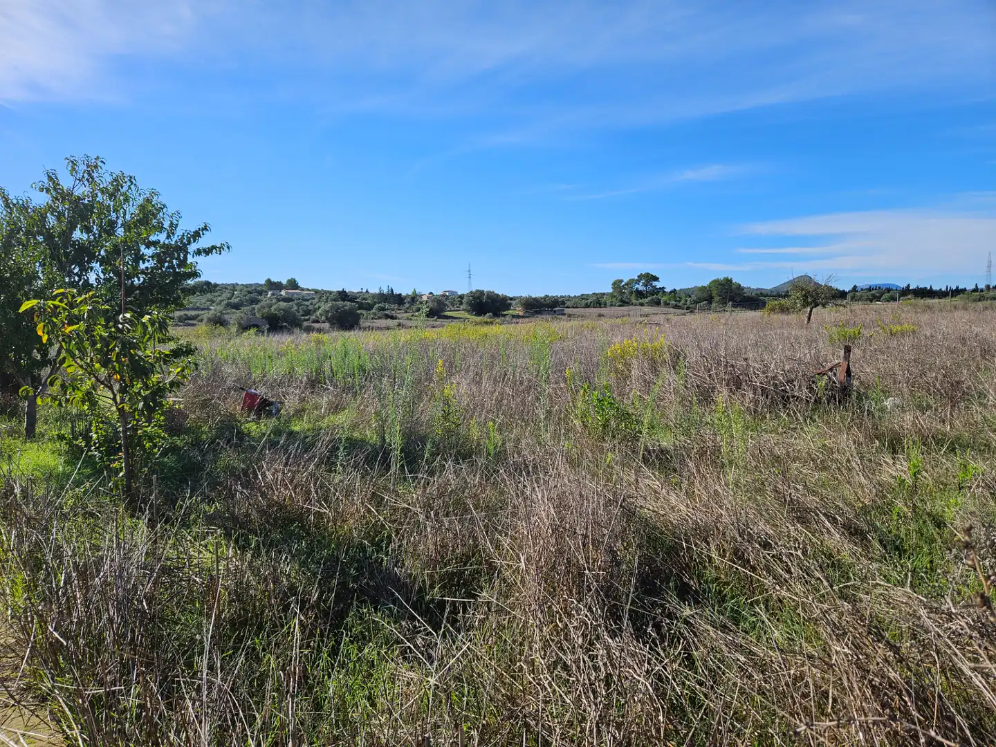 Terrain rustique à vendre à Sineu, imagen 8