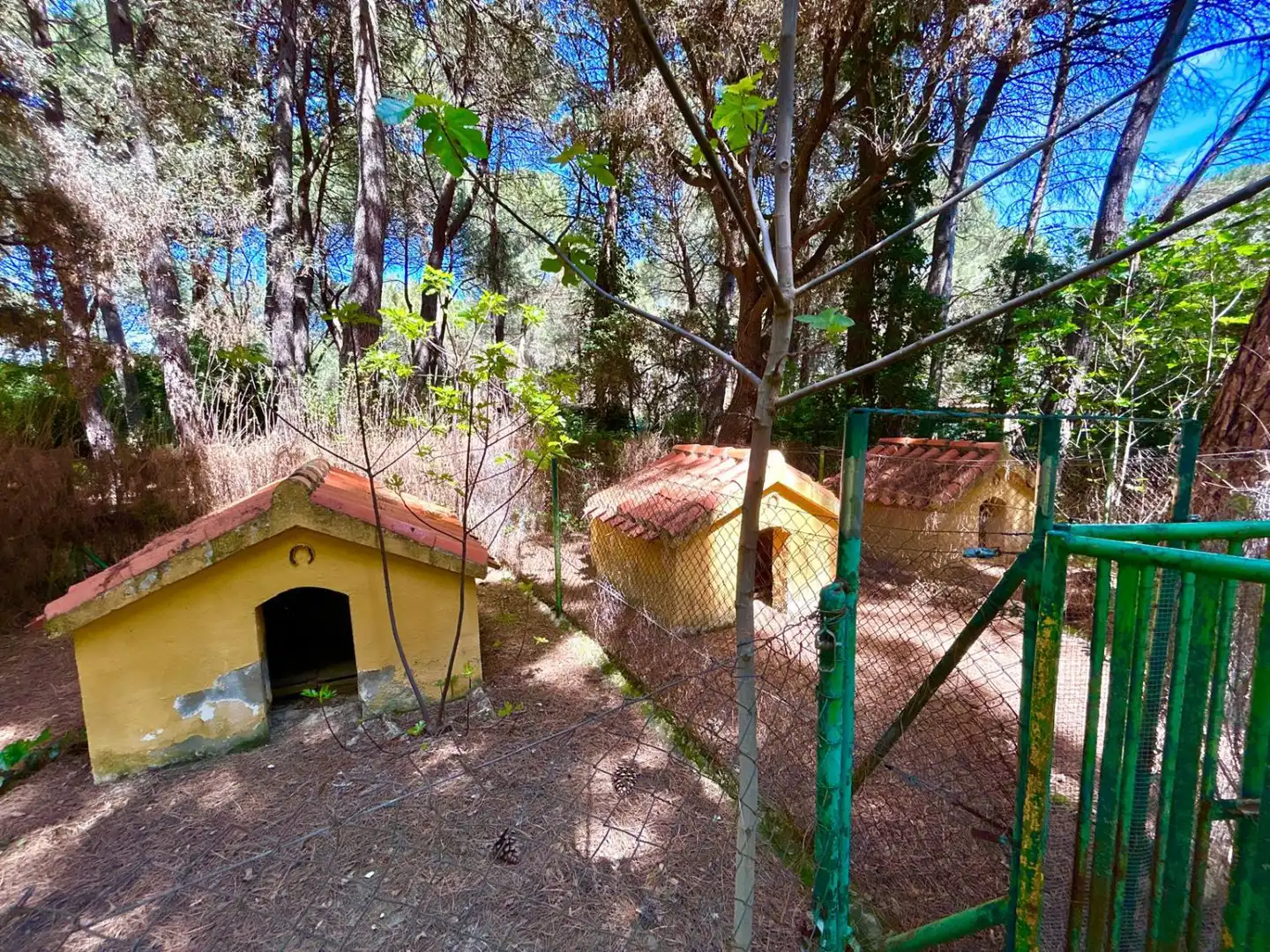 Vista exterior de Casa o chalet en venta en Albacete con Aire acondicionado, Calefacción y Trastero