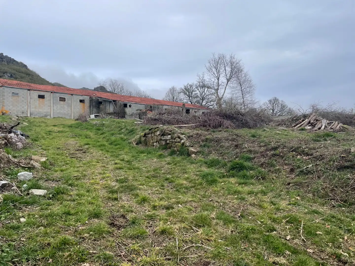 Land for sale in Baltar