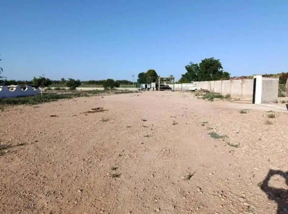 Terreno rustico in vendita a Catral, imagen 3