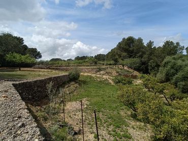 Terrenos y solares en venta en El Perelló