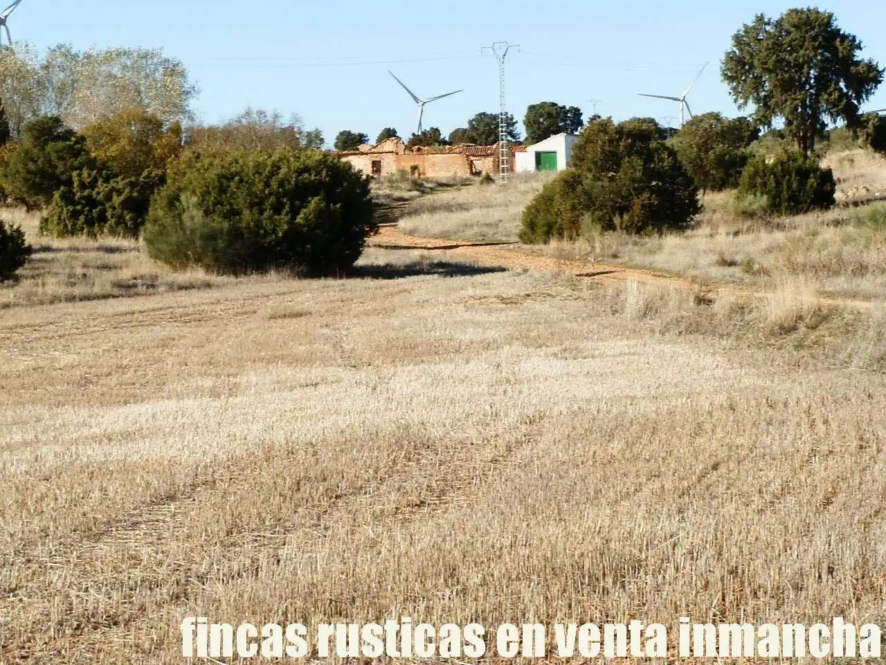 Lands and plots for sale in Ossa de Montiel, imagen 22