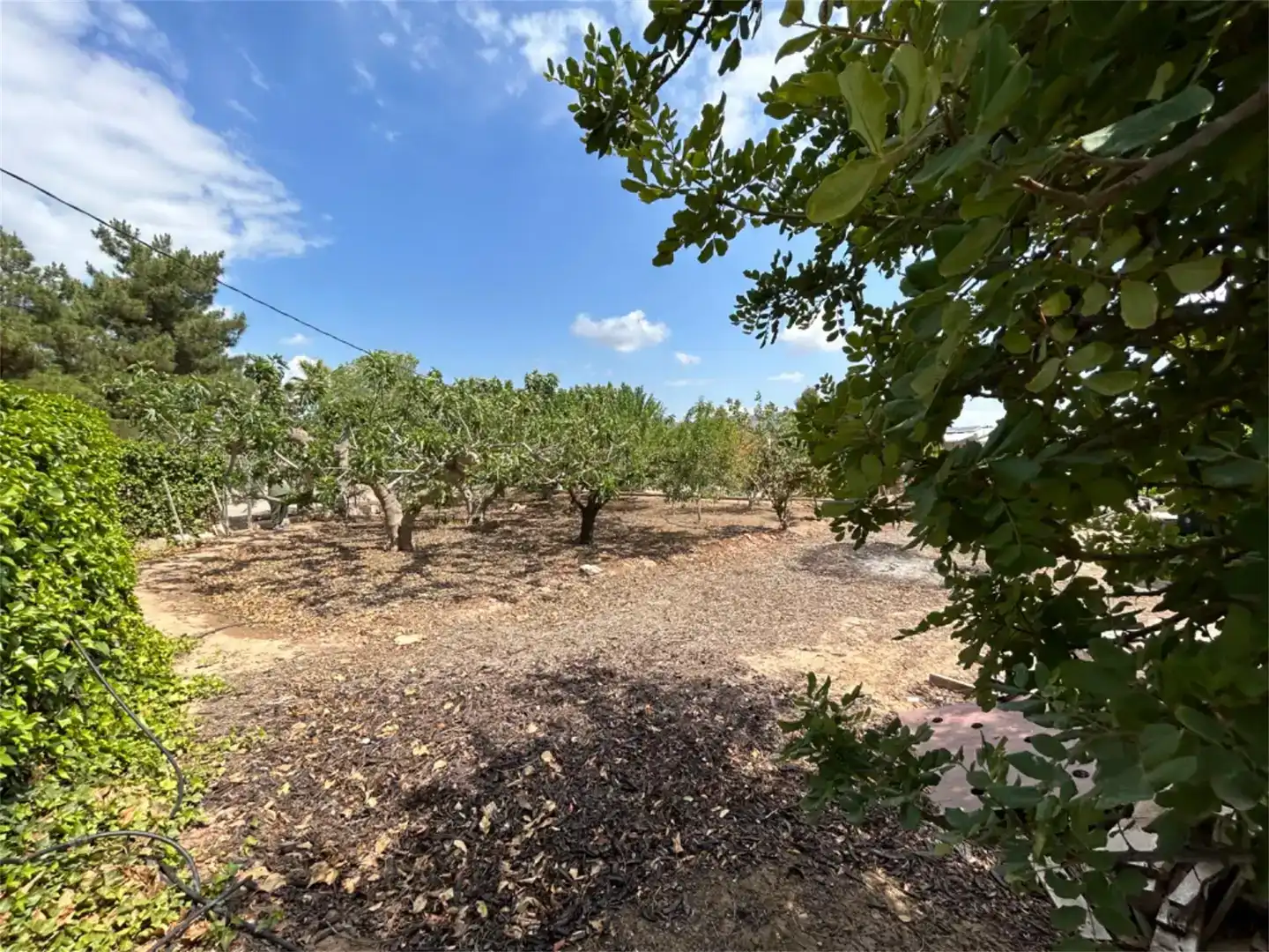 Terreno en venta en Alhama de Murcia ciudad