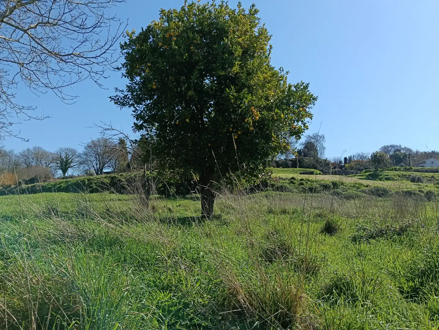 Adossat amb jardí en venda a Oza dos Ríos, imagen 12