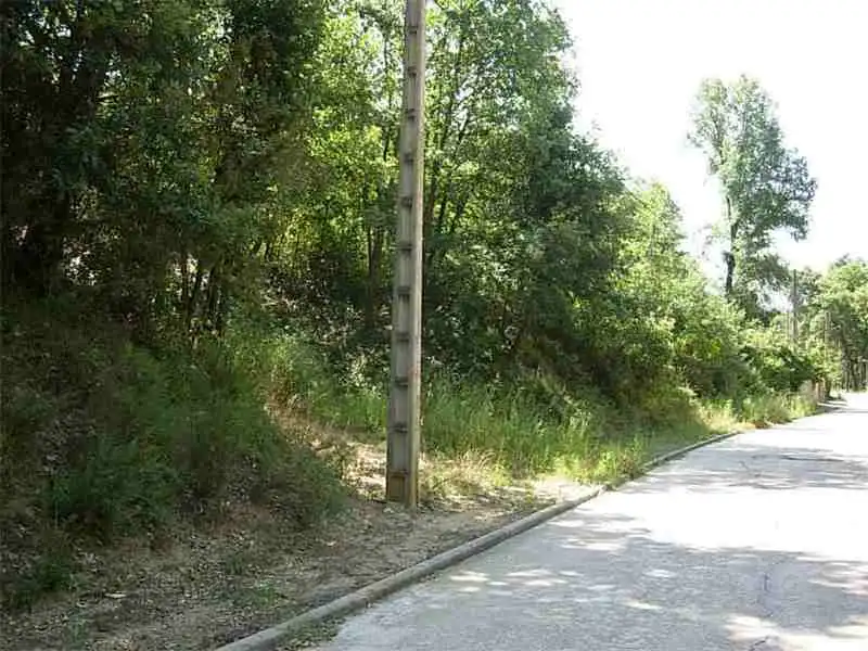 Wohnbaugrundstück zum Verkauf in Junior Park, imagen 7
