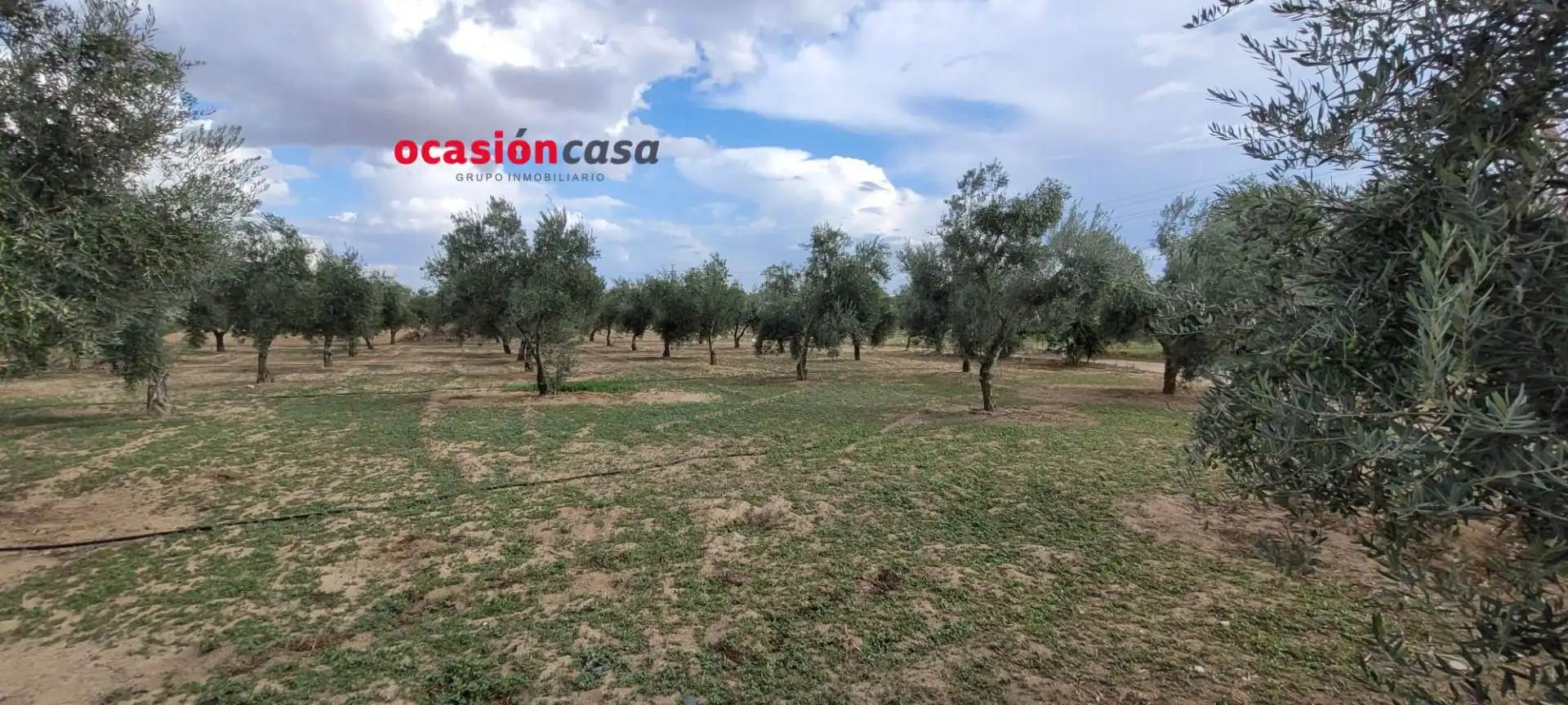 Casa rústica en venta en Alcaracejos, imagen 4
