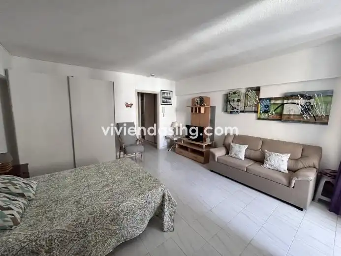 Studio mit Aufzug zur Miete in Avenida Familia de Betancourt y Molina 14, imagen 2