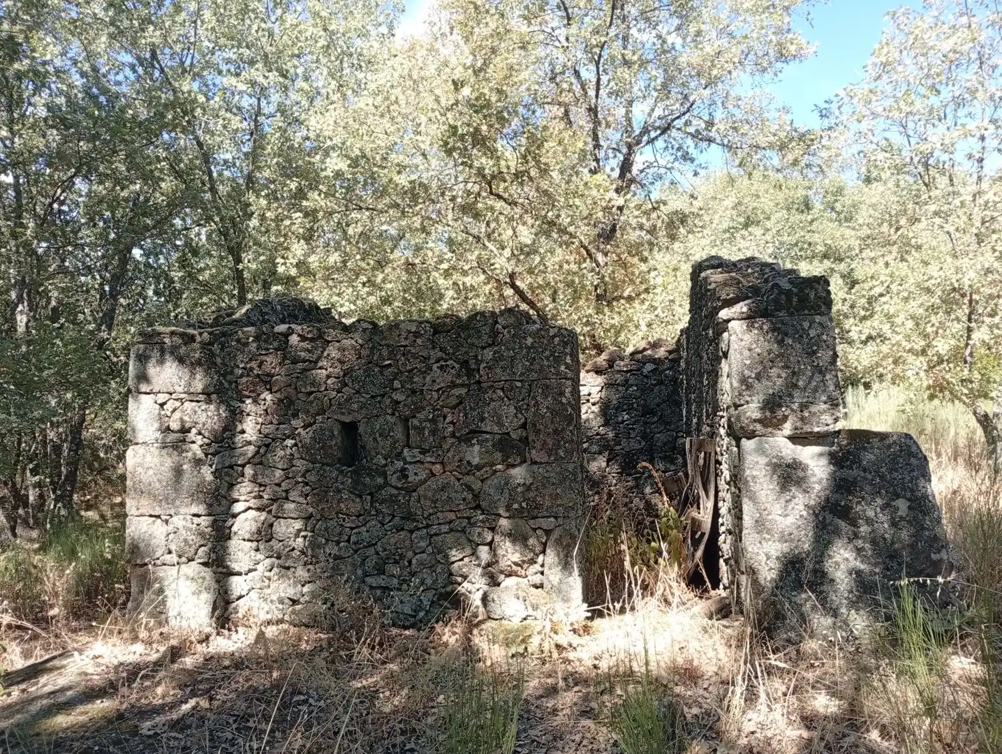 Terreni e lotti in vendita a Villanueva de la Vera, imagen 50
