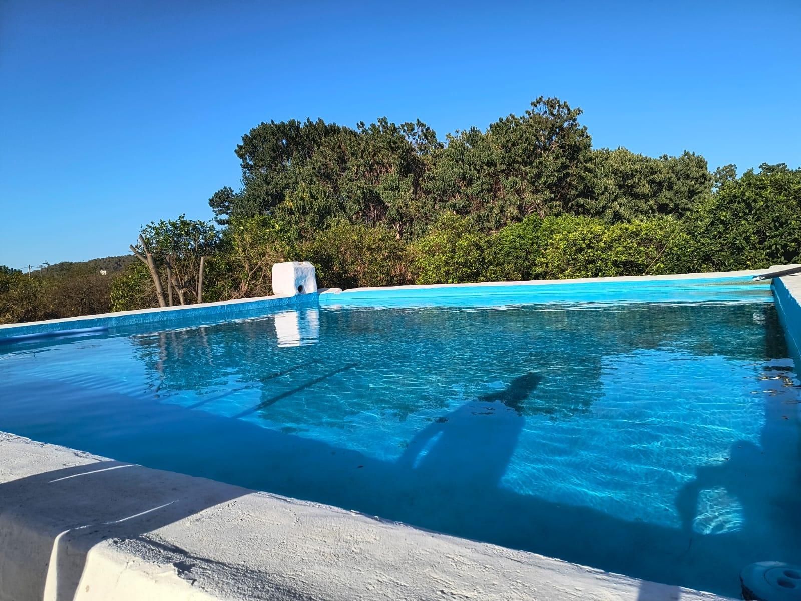 Swimming pool of House or chalet for sale in Carcaixent