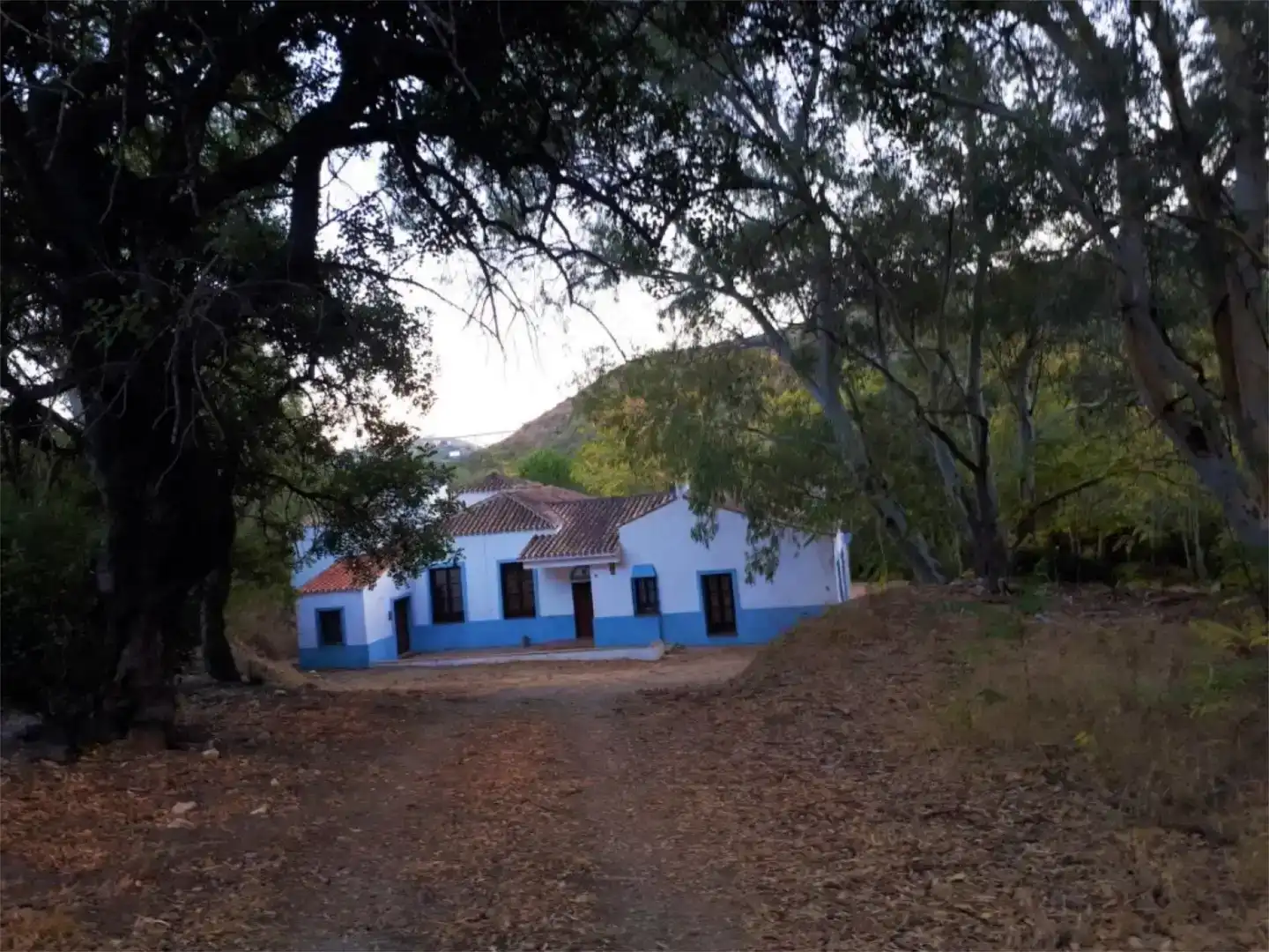 Vista exterior de Finca rústica en venda en Casares
