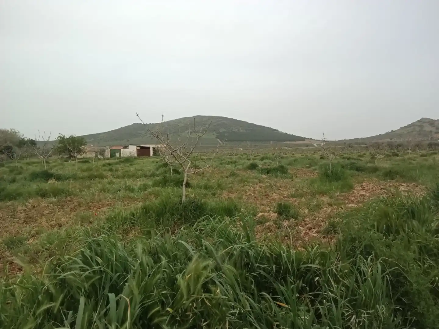 Casa rústica en venda a Fuente el Fresno, imagen 4