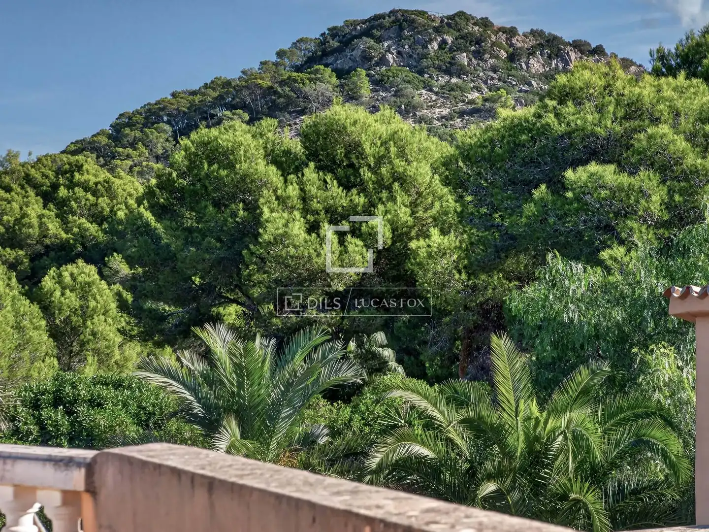 Houses for sale in Santa Ponça