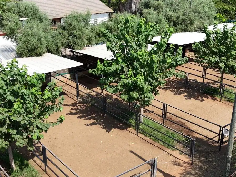 Maison rustique avec jardin à vendre à Carrer Major 1, imagen 14