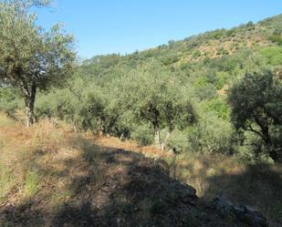 Grundstücke zum verkauf in Valverde de la Vera