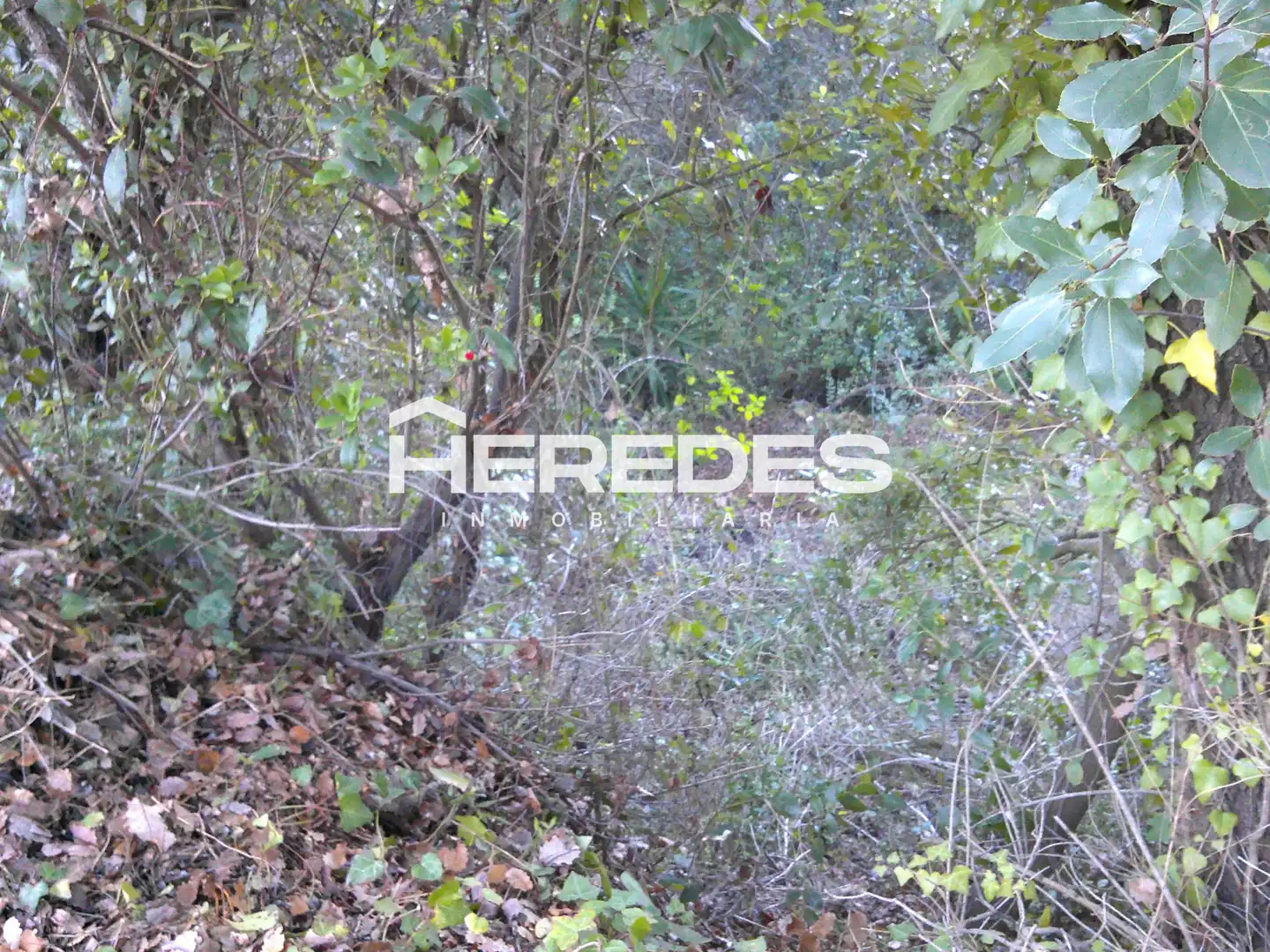 Terreno residencial en venta en Carrer Finestrelles 8, imagen 9