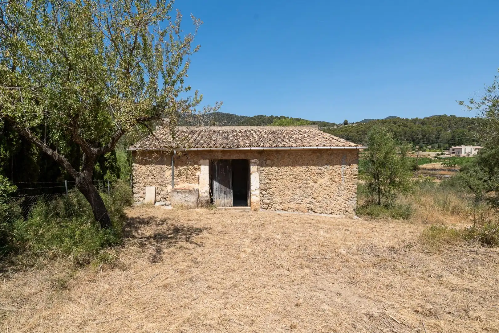 Vista exterior de Casa o chalet en venta en Alaró con Jardín privado