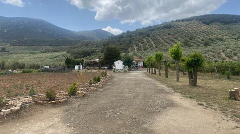Foto 5 de Finca rústica en venta en Carretera Alcala, Km 12, Benalúa de las Villas, Granada