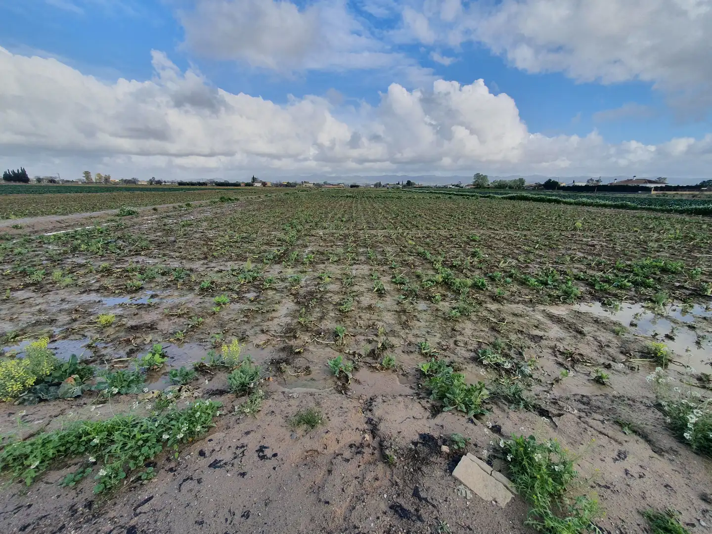 Terreno en venta en Lorca